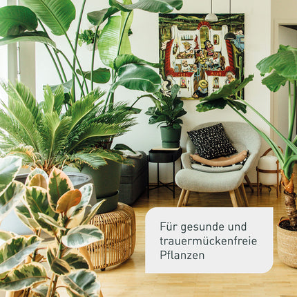 Plantura Organic melnās sēnes knišļu nesaturošs nīms, ļoti efektīvs laistīšanas līdzeklis pret melnajām sēnes knišļiem, kas izgatavots no nīma, 75 ml uz apm. 30 augi