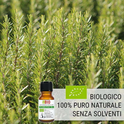 Rozmarīna eļļas organiskā ēteriskā eļļa 100% tīra 30 ml - Aromterapijas kosmētiskā terapeitiskā iedarbība - Laborbio