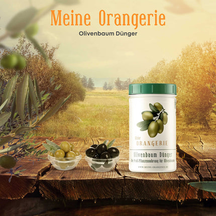 My Orangery olīvkoku mēslojums [1kg] - augstākās kvalitātes augu mēslojums - Izvairieties no gataviem šķidrajiem mēslojumiem augiem - olīvkoku mēslojums