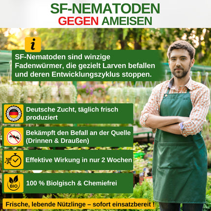 GREEN GUARDIA Super SF Nematodes pret skudrām – 10 miljoni uz 20 m² – Bioloģisks līdzeklis efektīvai skudru apkarošanai – Videi draudzīgs, bez ķimikālijām, viegli lietojams