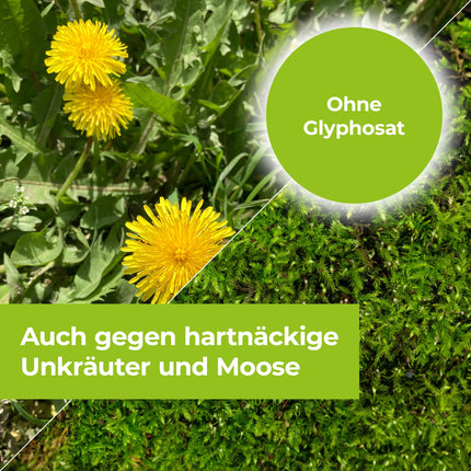 PROTECT GARDEN Turboclean bezrezerves līdzeklis, nezāļu iznīcinātājs pret spītīgām nezālēm, piemēram, mežrozīti un kosu, 1000 ml koncentrāts