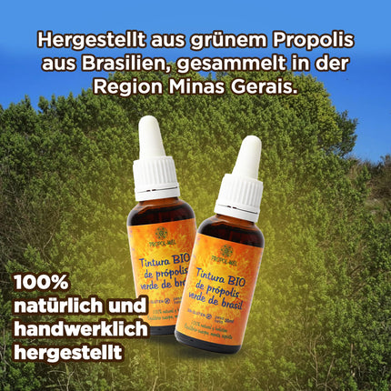 Brazīlijas zaļā propolisa šķidrais ekstrakts 30 ml – BIOLOĢISKS. Mātes tinktūra. 100% dabīgs, bez glutēna, 25% svara/tilpuma.