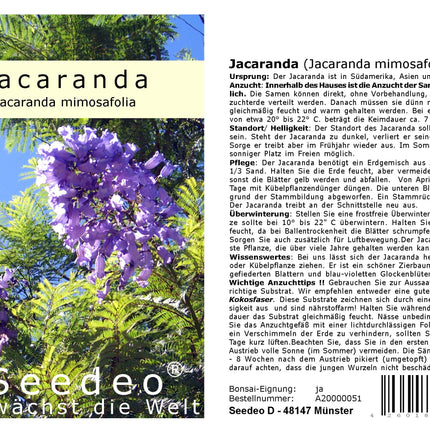 Seedeo® Jacaranda audzēšanas komplekts (Jacaranda mimosafolia)