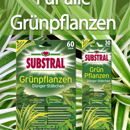 Substral mēslojuma stienīši zaļajiem augiem ar dzelzs piedevu un 2 mēnešu ilgstošu iedarbību, 60 stienīši, zaļi
