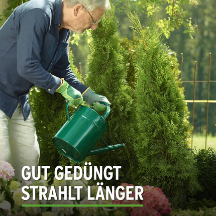 Substral Thuja-Vital, speciāls mēslojums tūju, ciprešu, buksusu, lauru ķiršu u.c. apsmidzināšanai un laistīšanai, 500 ml, zaļš