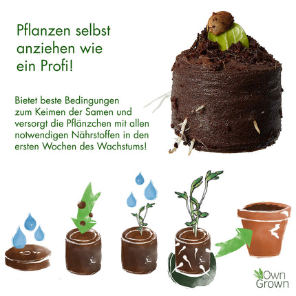 Kokosriekstu piebriedināšanas tabletes ar barības vielām – 40 gab., presēta kokosriekstu augsne augu audzēšanai bez izduršanas, bez kūdras – Audzēšanas augsne kokosriekstu no OwnGrown