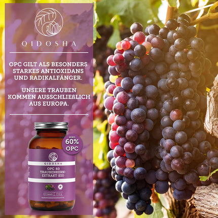 QIDOSHA® Premium OPC vīnogu kauliņu ekstrakts ar augstu devu I TESTA UZVARĒTĀJS 08/2023* I 240 kapsulas burciņā I Vīnogu kauliņu ekstrakta kapsulas ar augstu devu ar 60% tīra OPC I Vegāns