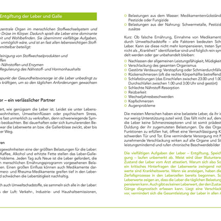Wellnest Liver Power Detox ārstēšanas pakete (detoksikācijas ārstēšanas pakete 40 dienu aknu attīrīšanai saskaņā ar TCM) - 100% augu izcelsmes - viegli lietojams - ļoti efektīvs aknu un miega traucējumu gadījumā