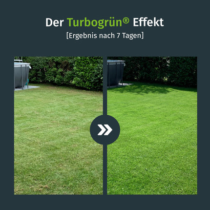 Turbogreen zāliena mēslojums pavasara 20kg, veselīgs zāliens, izspiež sūnas, ideāli piemērots pavasarim un vasarai, piemērots izkliedēšanai, mazputekļu granulas, zāliena mēslojums