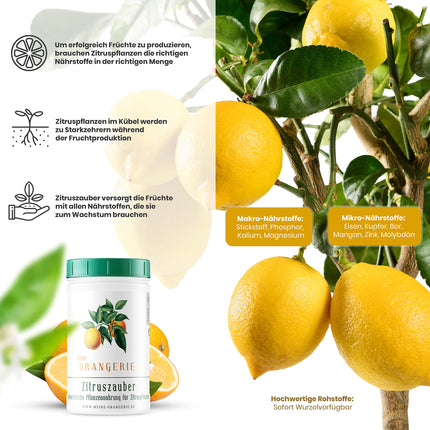 Mans Orangery citrusaugļu mēslojums visiem citrusaugiem [1kg] - augstākās kvalitātes augu mēslojums - profesionāls citrusaugļu mēslojums citronkokiem, apelsīnkokiem, laimiem un daudziem citiem (1000 grami)