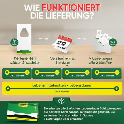 anwerk® Parazītiskās lapsenes pret pārtikas kodēm - 8 kartītes (2 kartītes ar 4 piegādēm) - Efektīvi apkaro pārtikas kodes - Alternatīva kožu slazdiem, kožu aerosoliem un feromonu slazdiem