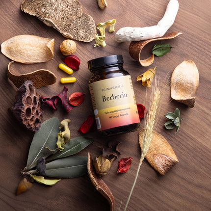 Primabiotic BERBERINE 400MG - 60 vegānas kapsulas | Berberis Vulgaris ekstrakts | Dabisks atbalsts vielmaiņai un aknu veselībai | Maksimālā absorbcija | Aknu gremošana, zarnu darbība