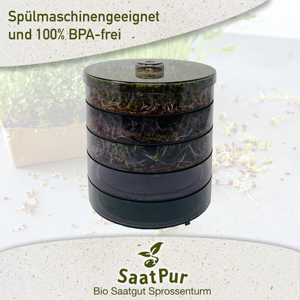 SaatPur® dīgšanas kastes komplekts ar 4 līmeņiem kā diedzēšanas ierīce: dīgļu audzēšanai un mikrozaļumu audzēšanas paplātēm. Dīgšanas kaste, diedzēšanas paplāte, diedzēšanas kaste, dīgšanas kaste, dīgšanas māja, diedzēšanas ierīce