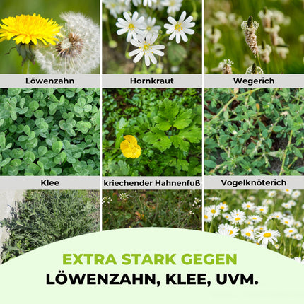 TerraUno zāliena mēslojums ar īpaši spēcīgu nezāļu iznīcinātāju, 100 dienu ilgtermiņa iedarbība, 5 kg uz 250 m², pret pienenēm, āboliņu un daudz ko citu. Zāliena nezāļu iznīcinātājs ar mēslojumu sulīgi zaļai zālei pavasarī un vasarā.