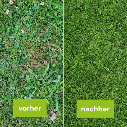 PROTECT GARDEN Universāls zāliena nezāļu iznīcinātājs Loredo Quattro zāliena nezāļu iznīcinātājs pret spītīgām nezālēm ar 4 kārtīgu darbību, 400 ml