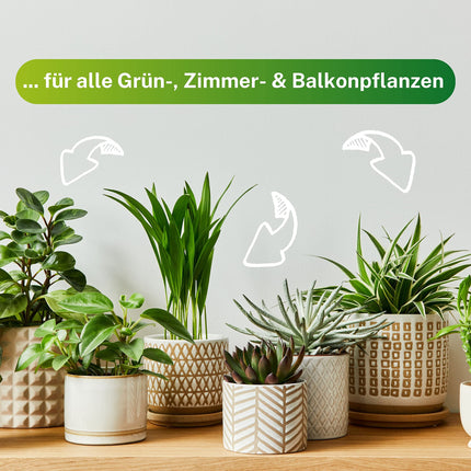 Greenyp 50x universāls mēslojums zaļajiem augiem mēslojuma stienīši visiem zaļajiem augiem, istabas augiem un balkona augiem I ilgtermiņa mēslojums NPK mēslojums ar papildu dzelzi un 3 mēnešu mēslošanas spēku