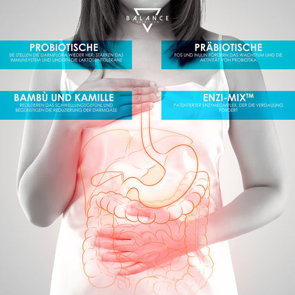 PROBIOTIKAS UN PREBIOTIKAS - 240 KAPSULAS | Probiotikas zarnu attīrīšanai | Probiotiskās kapsulas | Prebiotikas, gremošanas enzīmi + inulīns | Zarnu floras attīstība | Līdz 20 miljardiem CFU