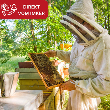 SwissBii peru pieniņa ampulu mēneša iepakojums – 100% tīri, dabīgi un augstas kvalitātes vitamīni. Enerģijas, imunitātes un ādas veselības atbalstam - ar medus vīnu