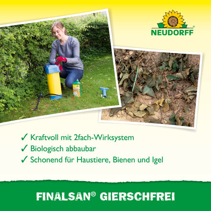 Neudorff Finalsan GierschFrei – ātras iedarbības nezāļu iznīcinātājs pret zemes plūškoku un kosu 180 m². Iedarbojas līdz pat saknei, 1 litrs