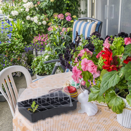 Relaxdays iekštelpu siltumnīca, 3 gabalu komplekts, mini siltumnīca palodzei, 24 nodalījumi katrā, audzēšanas paplāte ar vāku, melna, plastmasa