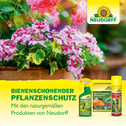 Neudorff Promanal AF New Scale and Mealybug Free – apkaro zvīņas un miltu blaktis, kā arī zirnekļu ērces uz cietlapu dekoratīvajiem augiem, piemēram, oleandriem un olīvām, 500 ml, krāsains