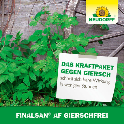 Neudorff Finalsan AF GierschFrei – ātras iedarbības nezāļu iznīcinātājs pret zemes plūškoku un kosu. Iedarbojas līdz pat matu saknēm, 750 ml