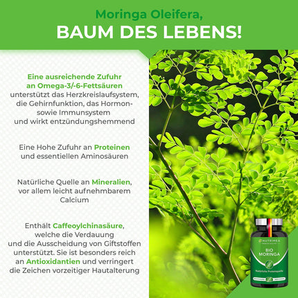 MORINGA Oleifera kapsulas | BIOLOĢISKI Sertificēts BEZ piedevām | Ražots Vācijā | Enerģijas tabletes 4 mēnešu krājumā | SUPERĒDIENS 100% VEGĀNS