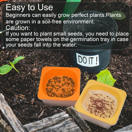 6 caurspīdīgu mikrozaļumu paplāšu komplekts ar plastmasas mitruma kupolu, BPA nesaturoša diedzēšanas paplāte, atkārtoti lietojama sēklu paplāte kaķu zāles, brokoļu, sojas pupiņu asnu un daudzu citu augu stādīšanai