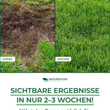 Organiskais zāliena mēslojums pavasara TESTA UZVARĒTĀJS Ražots Vācijā – 2,5 kg uz 100 kv.m – Organiskais zāliena mēslojums veselīgai augsnei un sulīgi zaļam zālienam – Zāliena mēslojums, pavasara zāliena mēslojums no Natureflow Garden