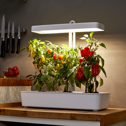 Northpoint hidroponiskā LED audzēšanas sistēma augu lampai, augu gaismai, garšaugu dārzam, iekštelpu dārza audzēšanas lampai, 22 W, 1350 lūmeniem, 10 stādiem, regulējams augstums, taimeris