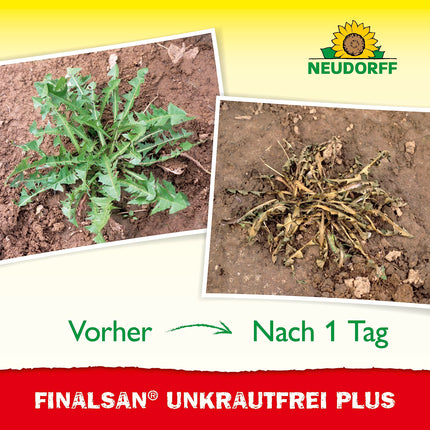 Neudorff Finalsan UnkrautFrei Plus koncentrāts — spēcīgs nezāļu iznīcinātājs, kas iedarbojas tieši līdz augu saknēm. Ātras darbības nezāļu tīrītājs 1x 2 litri, zaļš