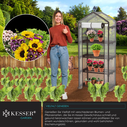 KESSER® Premium 4 līmeņu siltumnīca - 69 x 50 x 158 cm siltumnīca ar 4 plauktiem - vietu taupoša, augstas kvalitātes siltumnīca dārziem un balkoniem, stabila un viegli saliekama