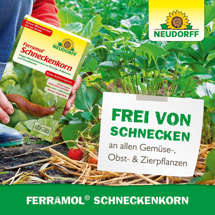 Neudorff Ferramol gliemežu granulas. Uzticama un ātra gliemežu aizsardzība. Kā efektīvs gliemežu atbaidīšanas līdzeklis, piemērots arī bioloģiskajai lauksaimniecībai, 1 x 1 kg, brūns