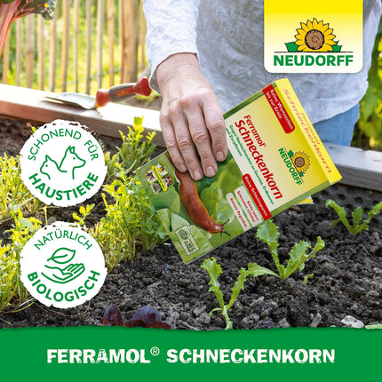 Neudorff Ferramol gliemežu granulas. Uzticama un ātra gliemežu aizsardzība. Kā efektīvs gliemežu atbaidīšanas līdzeklis, piemērots arī bioloģiskajai lauksaimniecībai, 1 x 1 kg, brūns